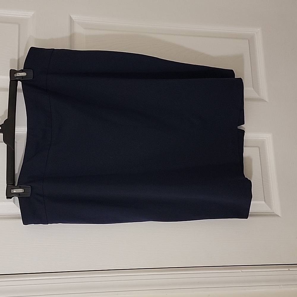 Ashley Stewart Blue Skirt Size 22